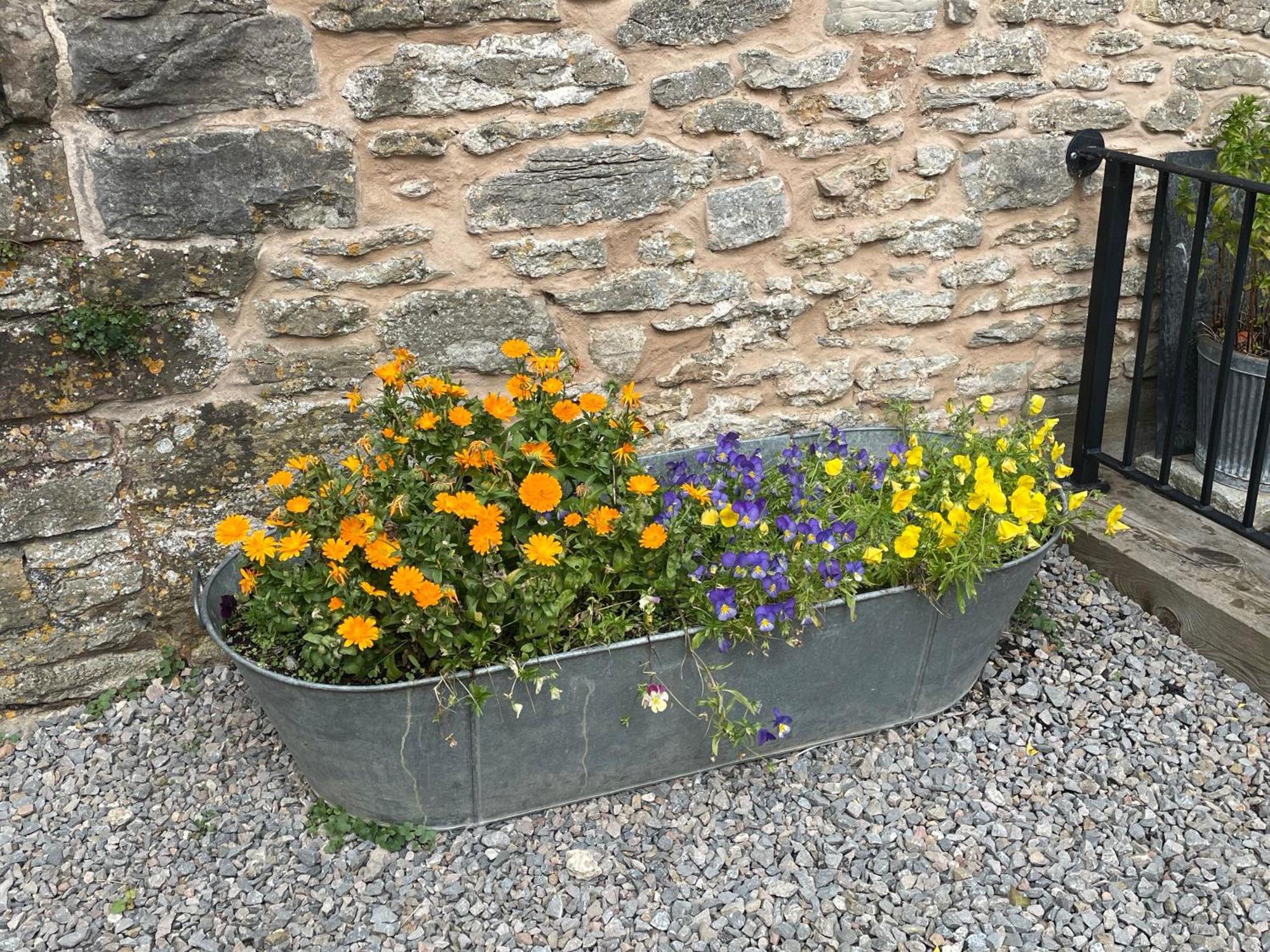 Acorn Cottage Ross-on-Wye Εξωτερικό φωτογραφία